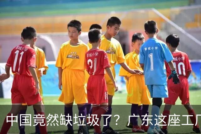 中国竟然缺垃圾了？广东这座工厂一天吃 9300 吨，一年发电 12 亿度！