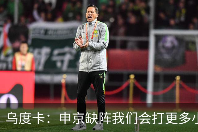 乌度卡：申京缺阵我们会打更多小阵容 希布韦会得到出场机会