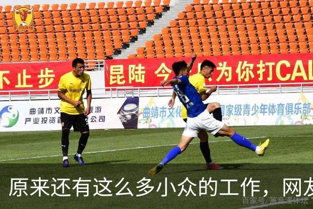 原来还有这么多小众的工作，网友：每天盈利2万