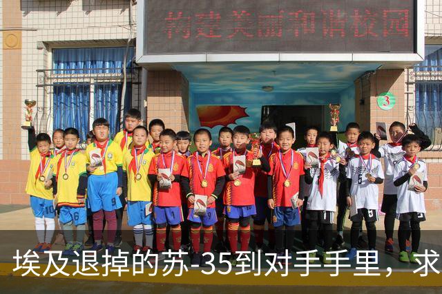 埃及退掉的苏-35到对手手里，求锤得锤，歼-10C成唯一解药
