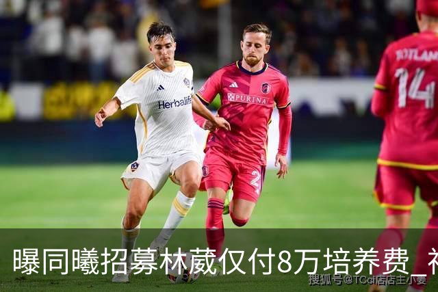曝同曦招募林葳仅付8万培养费 神操作奠定未来