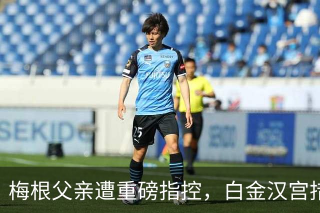 梅根父亲遭重磅指控，白金汉宫措手不及，哈里与梅根陷王室风波