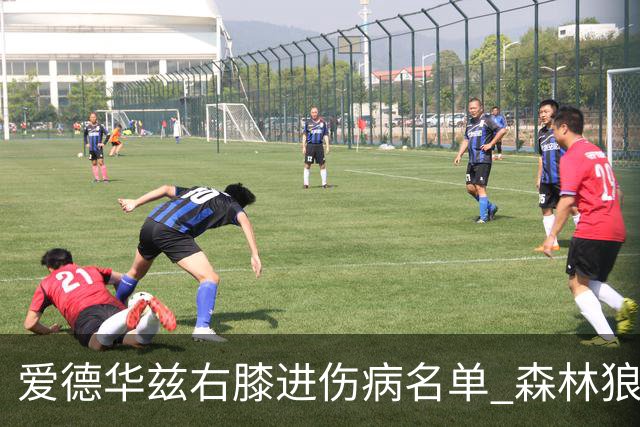 爱德华兹右膝进伤病名单 森林狼战骑士存变数
