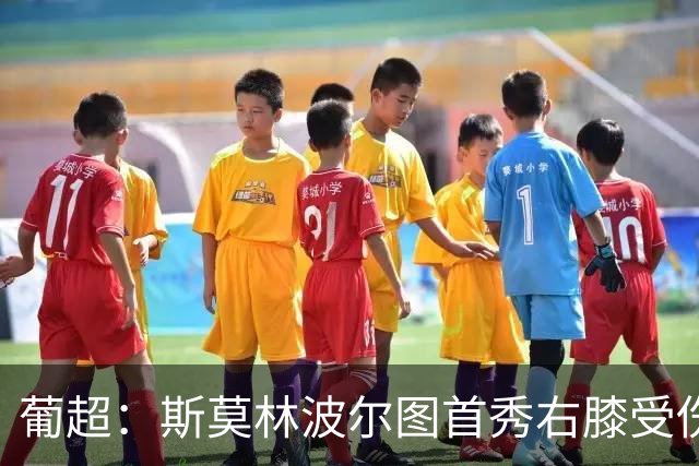 葡超：斯莫林波尔图首秀右膝受伤 下半场开局提前离场