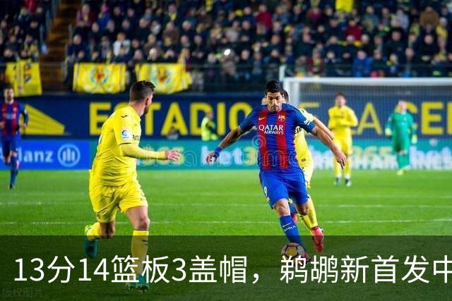 13分14篮板3盖帽，鹈鹕新首发中锋首秀交出两双