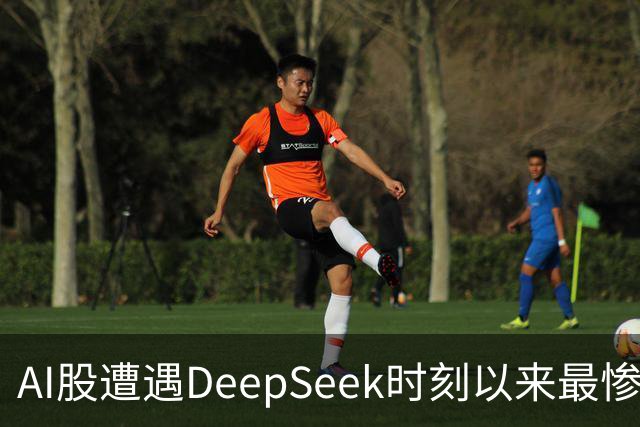 AI股遭遇DeepSeek时刻以来最惨一跌！高盛动量组合抹去全年涨幅，半导体指数逼近年线